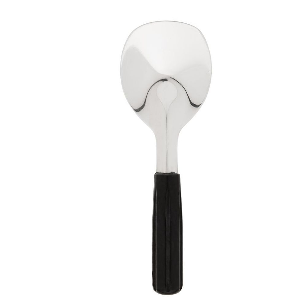 Stainless Steel Ice Cream Spade with Plastic Handle