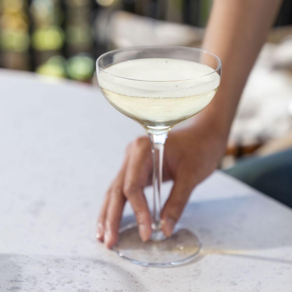 Nude Terroir Coupe Glass, 6.25 Oz Capacity -- 12 Per Case